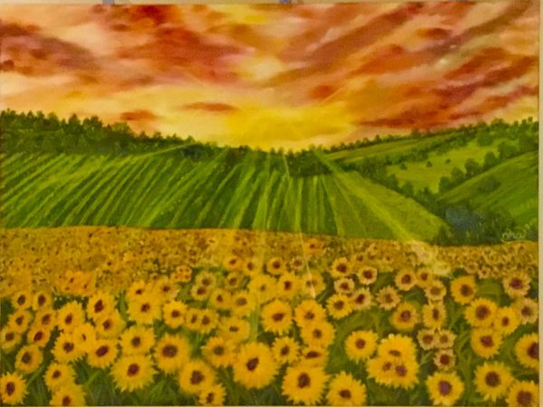 Field of Sunflowers